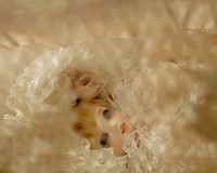 はじめまして