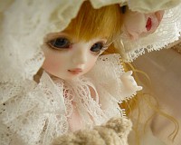 箱から出してもらったのも、はじめてなんだもの。