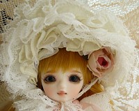 私も見てみたいな。