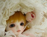 いつか見られるといいな。