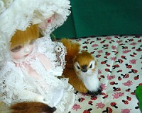 めずらしく、ちっこいのがごきげんだと思うたら・・・ほっほっほっ。

あの・・・ちっこいのって・・・