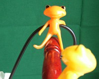 帰って来たって！

うん！