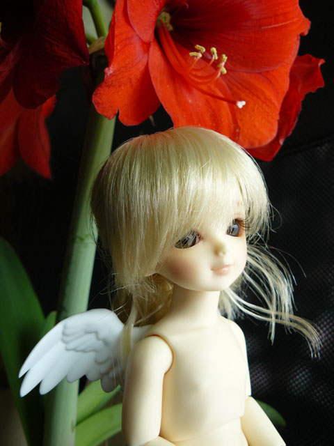 flower004.jpg - 4つのお花が見事に咲きました。