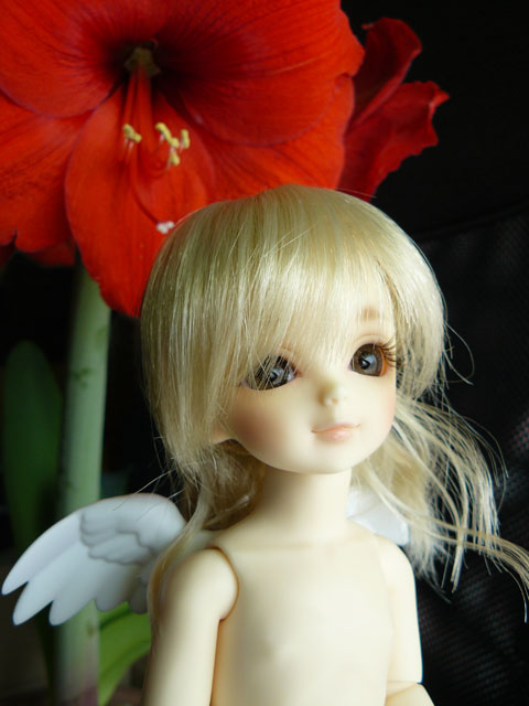 flower006.jpg - さぁ、次はどのお花に会いに行こうかな？