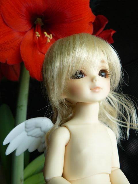 flower007.jpg - もう行っちゃうの？