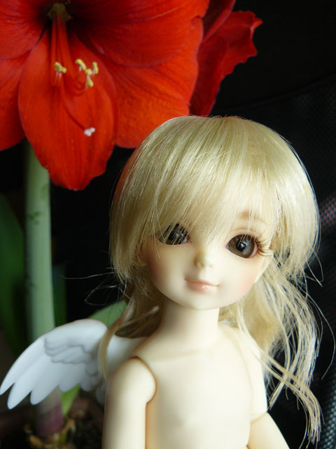 flower008.jpg - また遊びに来てね。