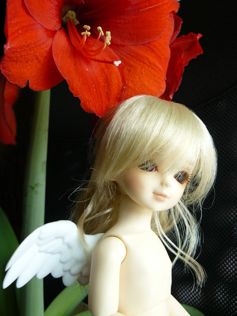flower010.jpg - ひなたでした