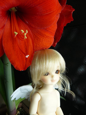 snap002.jpg - 天使はきまぐれです。