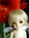 flower003