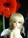 flower009