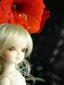flower011