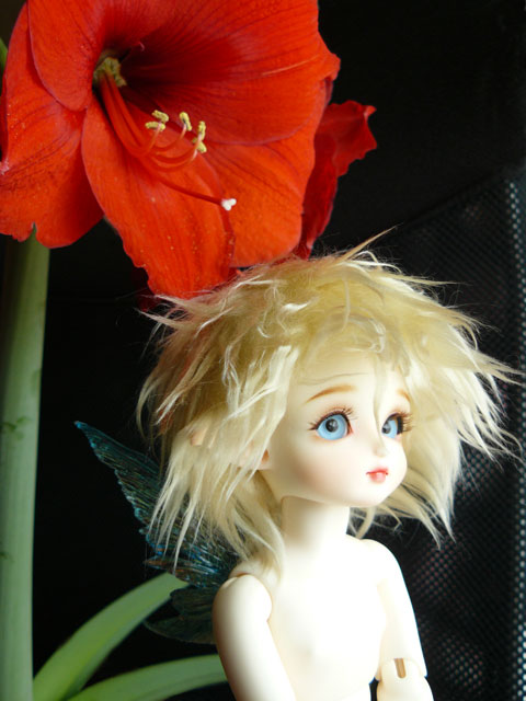 flower004.jpg - 羽はとても繊細な作りで、壊してしまいそうで怖いくらいです。