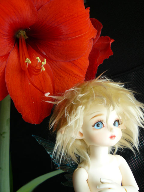 flower005.jpg - でも、光に透けるととてもきれいです。