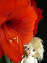 flower001