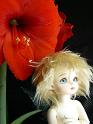 flower005