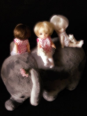 035-29.jpg - ï�����������������˲񤨤뤵������