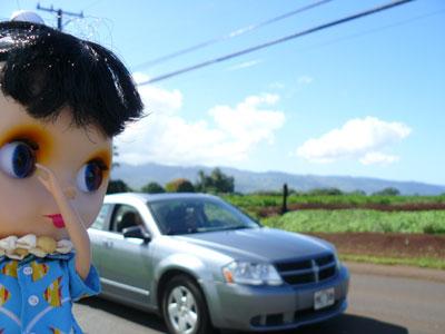 20080106-004.jpg - 次の日はノースへ。車に気をつけてね。