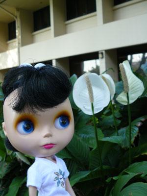 20080108-009.jpg - 近くには、お花を撮影しているご婦人がいました。