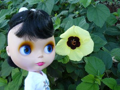 20080108-010.jpg - かわいいね。