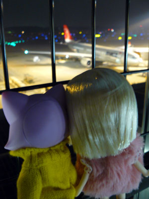 2009-01-17-HAWAII-005.jpg - わくわく感が漂っているふたり。
