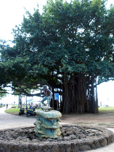 2009-01-18-2009-HAWAII-006.jpg - 今回の旅のテーマは、「あえて、べたなコースを回る。」