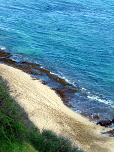 2009-01-18-2009-HAWAII-007.jpg - 海を見ていると、なんだか落ち着きます。