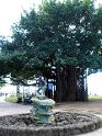 2009-01-18-2009-HAWAII-006