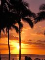 2009-01-18-2009-HAWAII-010
