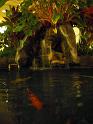 2009-01-18-2009-HAWAII-013