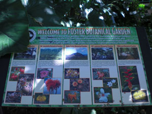 2009-01-19-2009-HAWAII-004.jpg - やってきたのは、フォスター植物園。