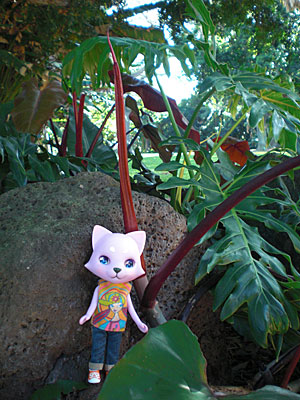 2009-01-19-2009-HAWAII-009.jpg - ジャングルに迷いこんだみたいです。