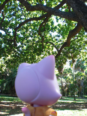 2009-01-19-2009-HAWAII-010.jpg - 自然のままの木々があちらこちらに。