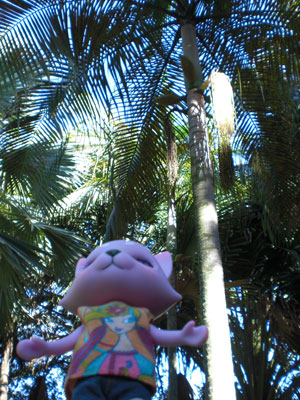 2009-01-19-2009-HAWAII-012.jpg - 深呼吸すると、とっても気持ちがいいのです。