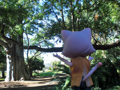 2009-01-19-2009-HAWAII-017.jpg - どすこーい！