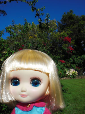 2009-01-19-2009-HAWAII-023.jpg - 日差しが強いので、涼しいところへ行きましょうか。