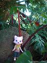 2009-01-19-2009-HAWAII-009