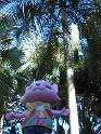 2009-01-19-2009-HAWAII-012