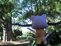 2009-01-19-2009-HAWAII-017