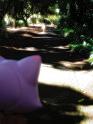 2009-01-19-2009-HAWAII-019