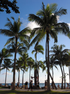 2009-01-22-HAWAII-014.jpg - 夕暮れ前の景色。
