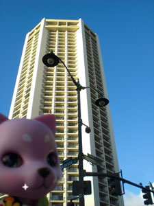 2009-01-22-HAWAII-015.jpg - 世界の街角から～みらいにき編～