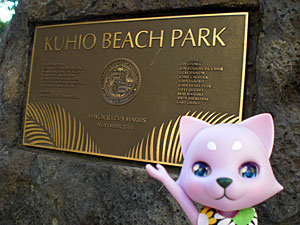 2009-01-22-HAWAII-016.jpg - ビーチパークに来ました。