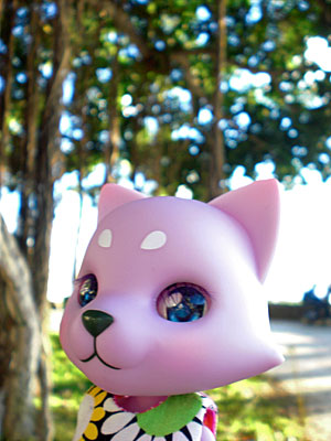 2009-01-22-HAWAII-018.jpg - ハローなのにゃ。