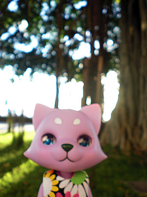 2009-01-22-HAWAII-019.jpg - にこにこ。