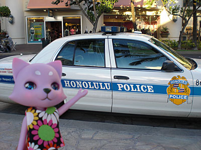 2009-01-22-HAWAII-021.jpg - 今度は一緒に撮ってみた。