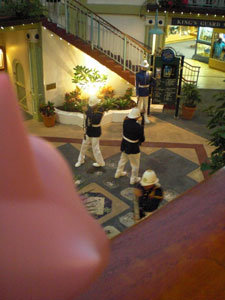 2009-01-22-HAWAII-022.jpg - 兵隊さん？