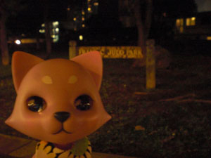 2009-01-22-HAWAII-028.jpg - ここからお散歩で帰るのにゃ。