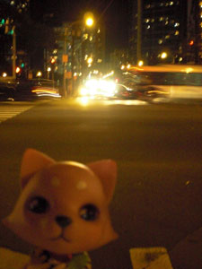 2009-01-22-HAWAII-029.jpg - 夜は、運河沿いは避けるのにゃ。