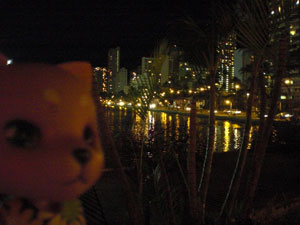 2009-01-22-HAWAII-030.jpg - このまままっすぐ進みます。