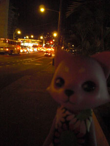 2009-01-22-HAWAII-031.jpg - また来るにゃー♪